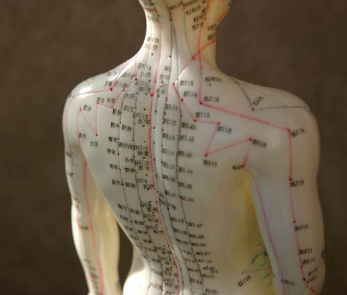 Mannequin humain représentant les ponits accupuncture